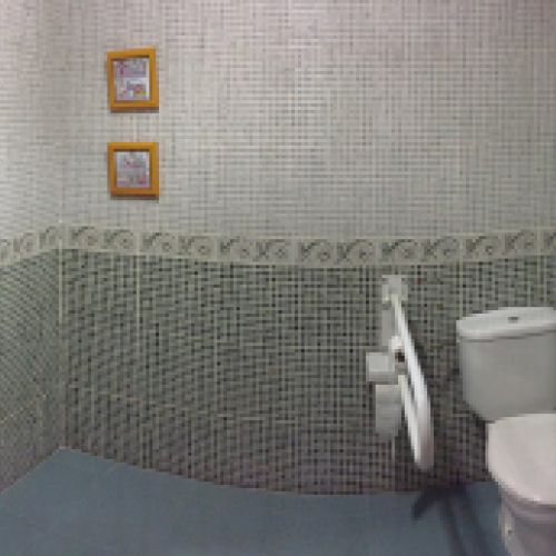 Baño adaptado en habitación